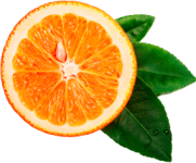 orange__0007_Layer-1.png orange__0007_Layer-1.png